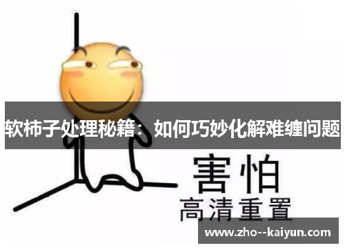 软柿子处理秘籍:如何巧妙化解难缠问题 软柿子处理秘籍:如何巧妙化解难缠问题