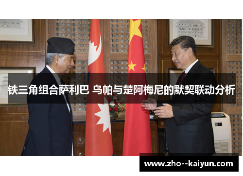 铁三角组合萨利巴 乌帕与楚阿梅尼的默契联动分析